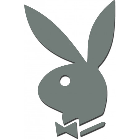 Dekorative Spiegel. Spiegelaufkleber für die Wand, als Bild oder Dekoration, 3D Acrylaufkleber