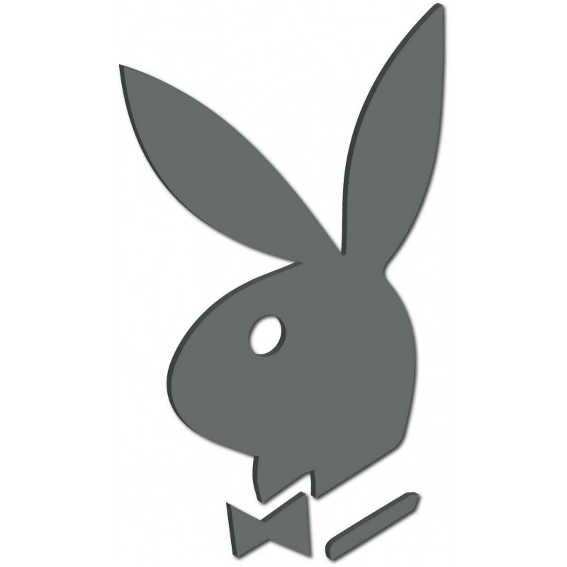 Dekorative Spiegel. Spiegelaufkleber für die Wand, als Bild oder Dekoration, 3D Acrylaufkleber