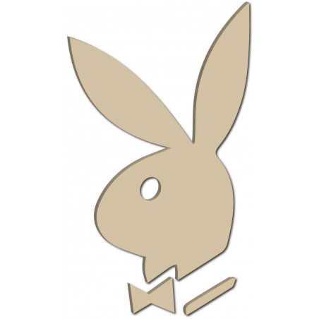 Dekorative Spiegel. Spiegelaufkleber für die Wand, als Bild oder Dekoration, 3D Acrylaufkleber