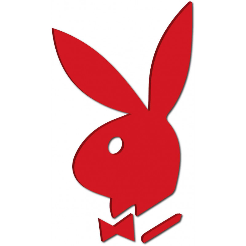 Dekorative Spiegel. Spiegelaufkleber für die Wand, als Bild oder Dekoration, 3D Acrylaufkleber