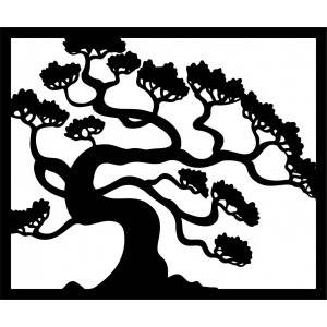 Hölzernes Bild einer Wand einer hölzernen Sperrholzpappel des Bonsaibaums   Drázský 2