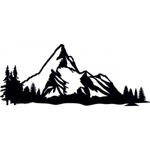 Gebirgsbild an der Wand des Natursperrholzes 2